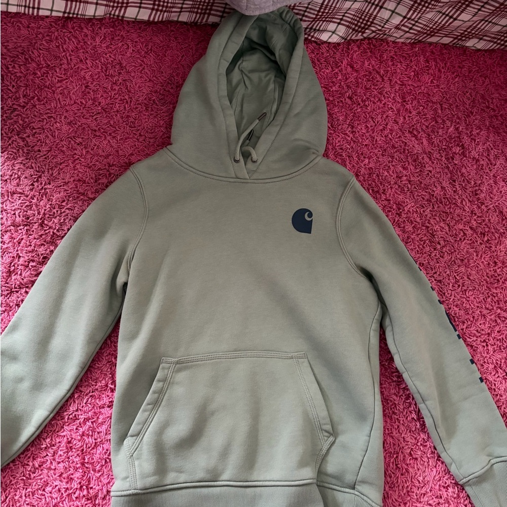 Carhartt Sage Green Relaxed Fit Hoodie